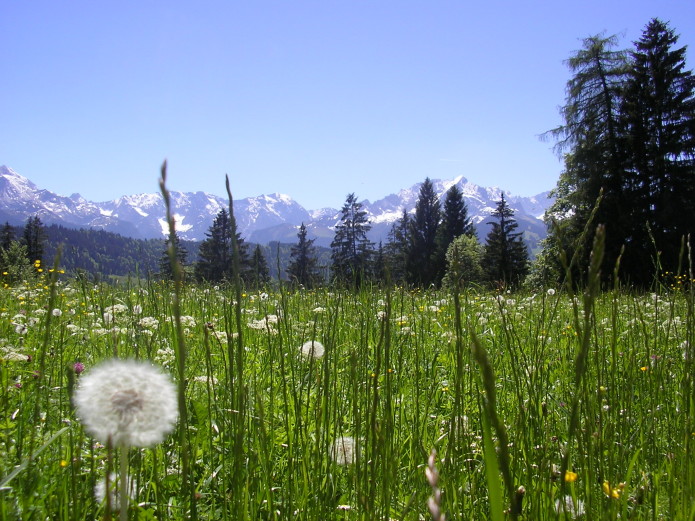 Gilching, Berge, Bergpanorama